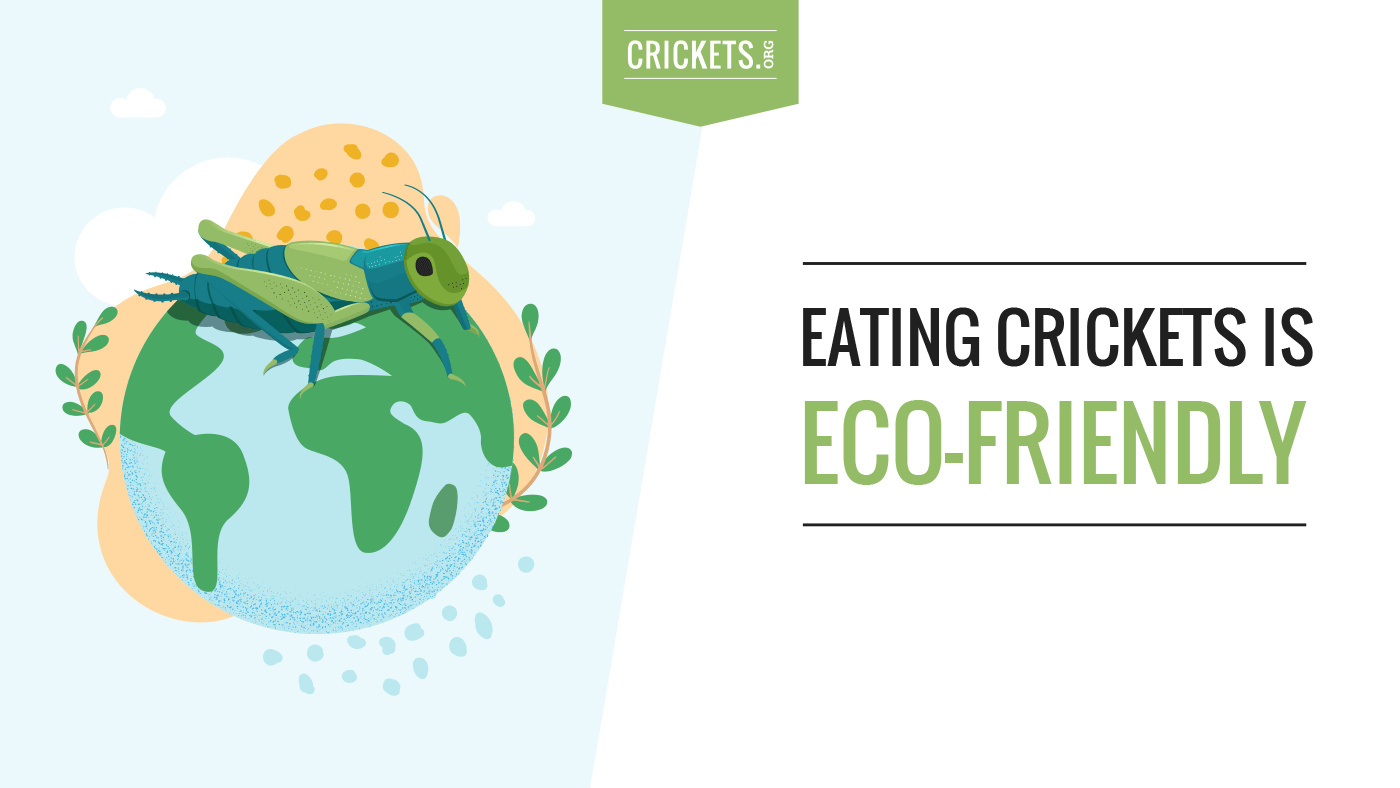 Eating crickets is eco-friendly