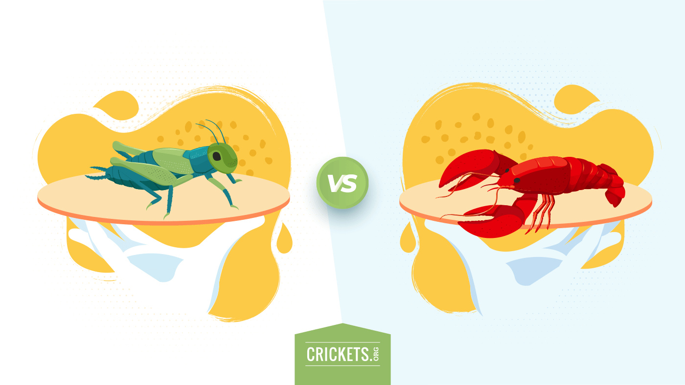 Why eat crickets?