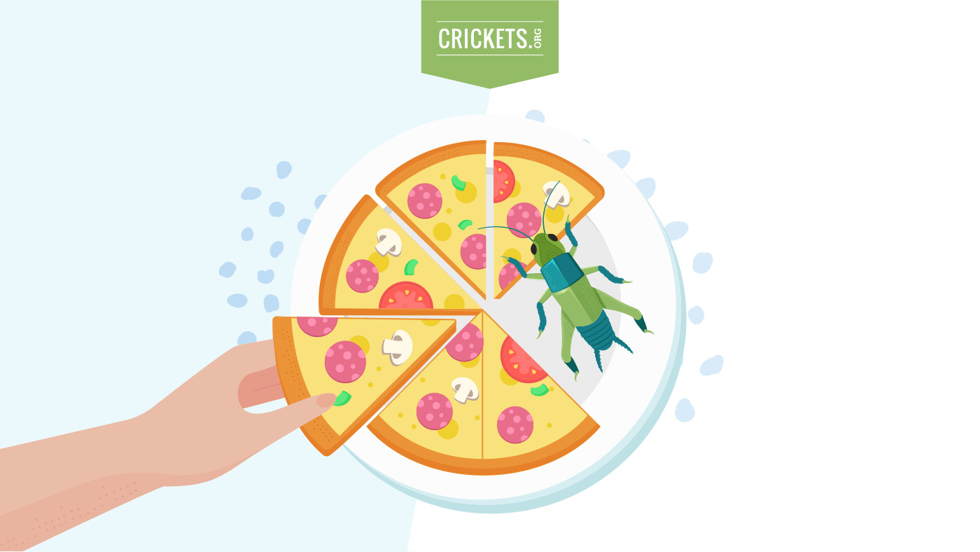 Cricket Pizza