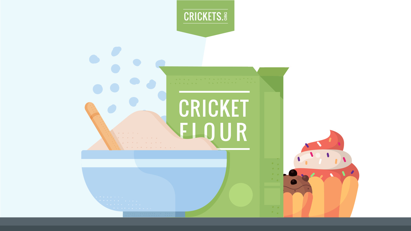 Cricket Flour